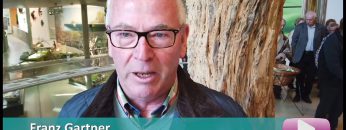 Museum Niederösterreich NEU