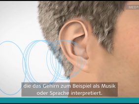 “Obleute Unterwegs….” NÖs Senioren Beim Konzert In Grafenegg