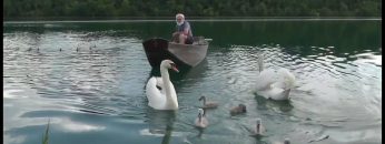 Idylle Am Ennsstausee