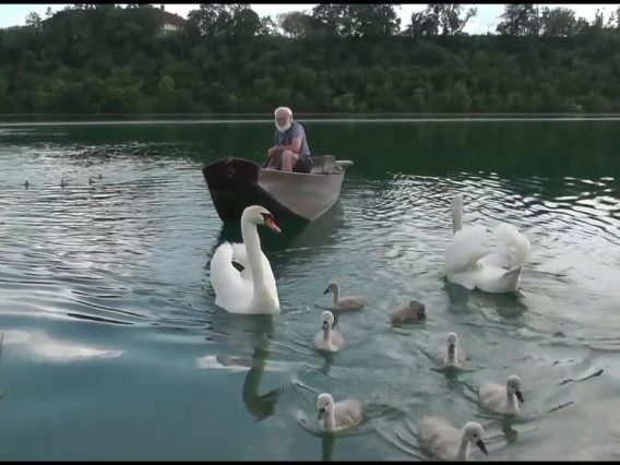 Idylle Am Ennsstausee