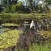 Garten Tulln Schnuppertag, Der Gesamte Beitrag
