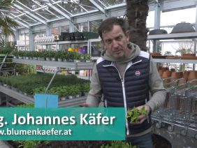 Jetzt Gemüse Pflanzen – Efz 2021 004 02