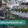 Gartentipp Gewürzkräuter 2021 Efz193