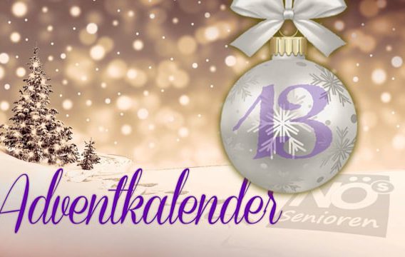 13. Fenster