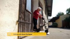 Gehhilfen Für Zu Hause Tipp Des Hilfswerk Niederösterreich 2021 Efz205