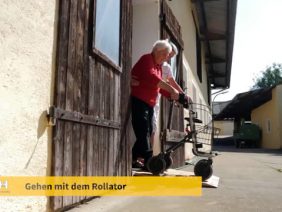 Gehhilfen Für Zu Hause Tipp Des Hilfswerk Niederösterreich 2021 Efz205