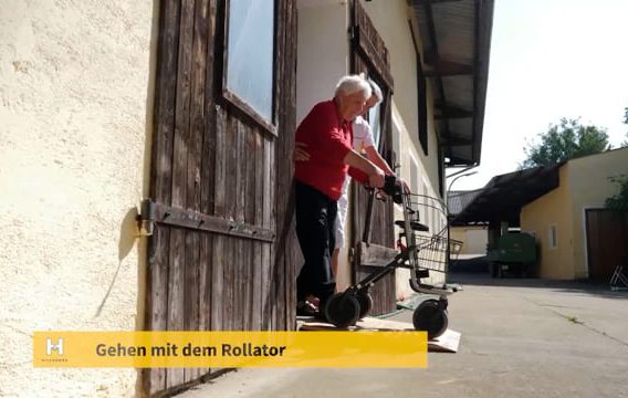 Gehhilfen Für Zu Hause Tipp Des Hilfswerk Niederösterreich 2021 Efz205