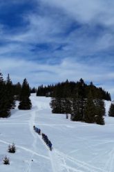 Tourenschi, Schneeschuhwandern Und Langlauf In Hintersee