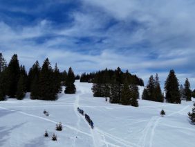 Tourenschi, Schneeschuhwandern Und Langlauf In Hintersee