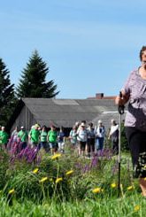 Über 3.000 Seniorinnen Und Senioren Wanderten Durchs Waldviertel