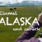 Einmal Alaska und zurück, Alaska Teil 1