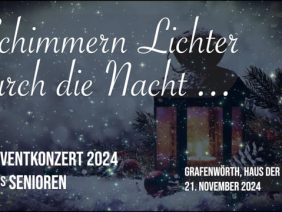 Schimmern Lichter Durch Die Nacht … Teil 4