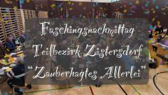 Faschingsnachmittag Teilbezirk Zistersdorf