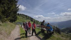 Bezirkswandertag Neunkirchen 2025 Vorschau