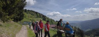 Bezirkswandertag Neunkirchen 2025 Vorschau