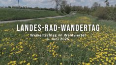 Landes Radwandertag Vorschau 2025