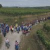 „Mega“ Landes Wandertag 2025 In Langenlois
