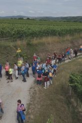 „Mega“ Landes Wandertag 2025 In Langenlois