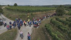 „Mega“ Landes Wandertag 2025 In Langenlois