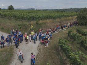 „Mega“ Landes Wandertag 2025 In Langenlois